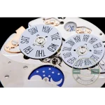 Grey and silver two-tone Patek Philippe 5205G-001 clone, white gold look in honest steel