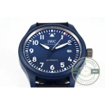 One of 750 pieces, less common in circulation than the standard Pilot's Watch