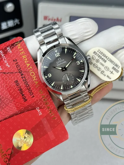 Replica Seamaster Railmaster 38mm 235.12.38.20.13.001 Grey Dial - Luxury Replica Watch