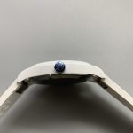 White ceramic fired through the whole case ring, with nothing to chip away